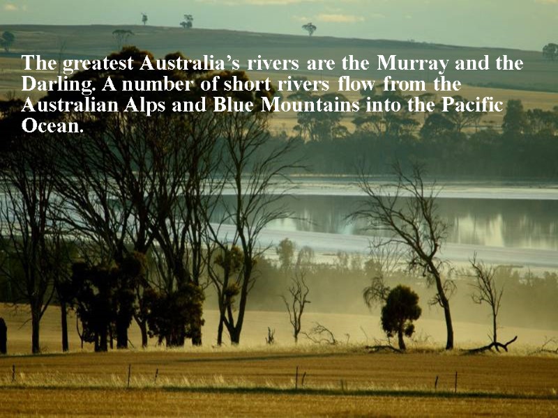 The greatest Australia’s rivers are the Murray and the Darling. A number of short